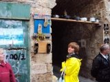 Знакомтесь! Это красавица Лора. С ней мы познакомились, когда они с Игорем были на далекой Камчатке.