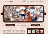 Портфолио - наши сайты
